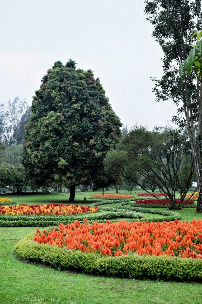 taman-bunga-nusantara